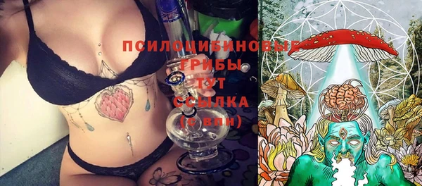 соль ск Абдулино