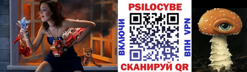 магазин продажи   Старая Русса  Галлюциногенные грибы GOLDEN TEACHER 