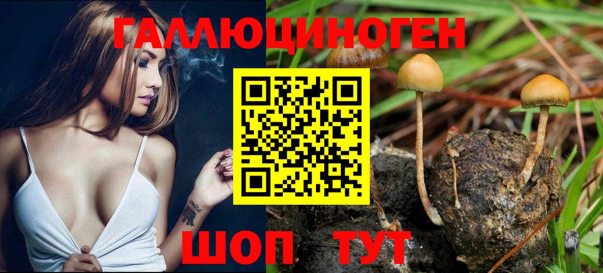 Старая Русса  Псилоцибиновые грибы Magic Shrooms  Вход с VPN 