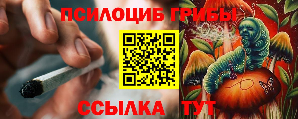 Псилоцибиновые грибы MAGIC MUSHROOMS Старая Русса