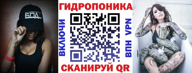 Шишки марихуана марихуана Старая Русса